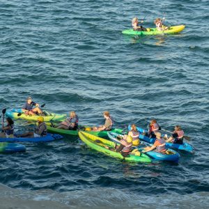 A group of kayakers paddling together on open water