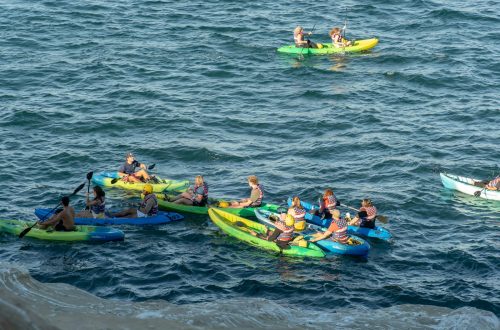 A group of kayakers paddling together on open water
